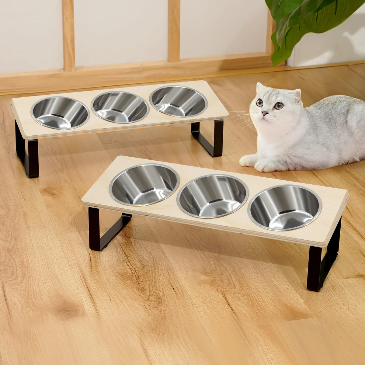 Elevated Pet Feeding Station – 3 Stainless Steel Bowls with 15° Tilted Stand