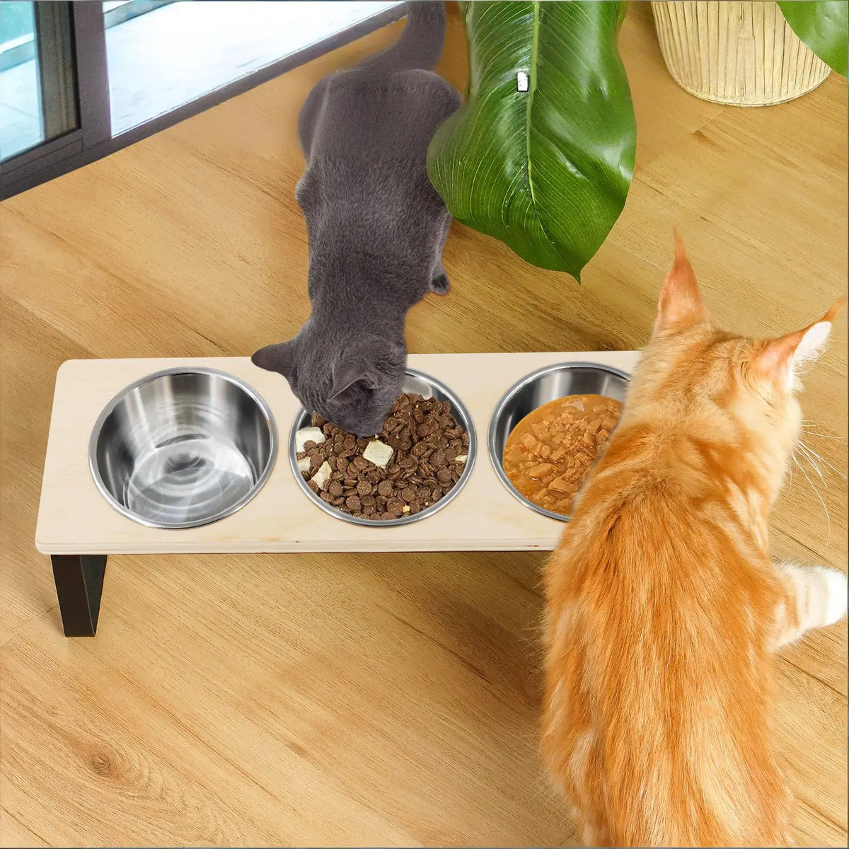 Elevated Pet Feeding Station – 3 Stainless Steel Bowls with 15° Tilted Stand