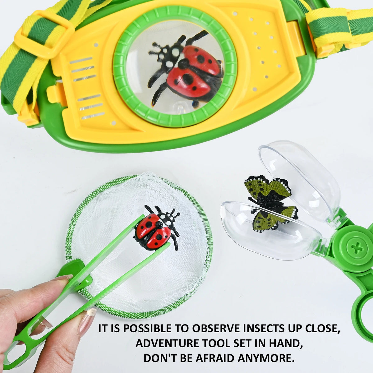 Little Explorer Bug & Butterfly Adventure Kit