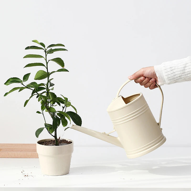 Long-Reach Garden Watering Can – 2L