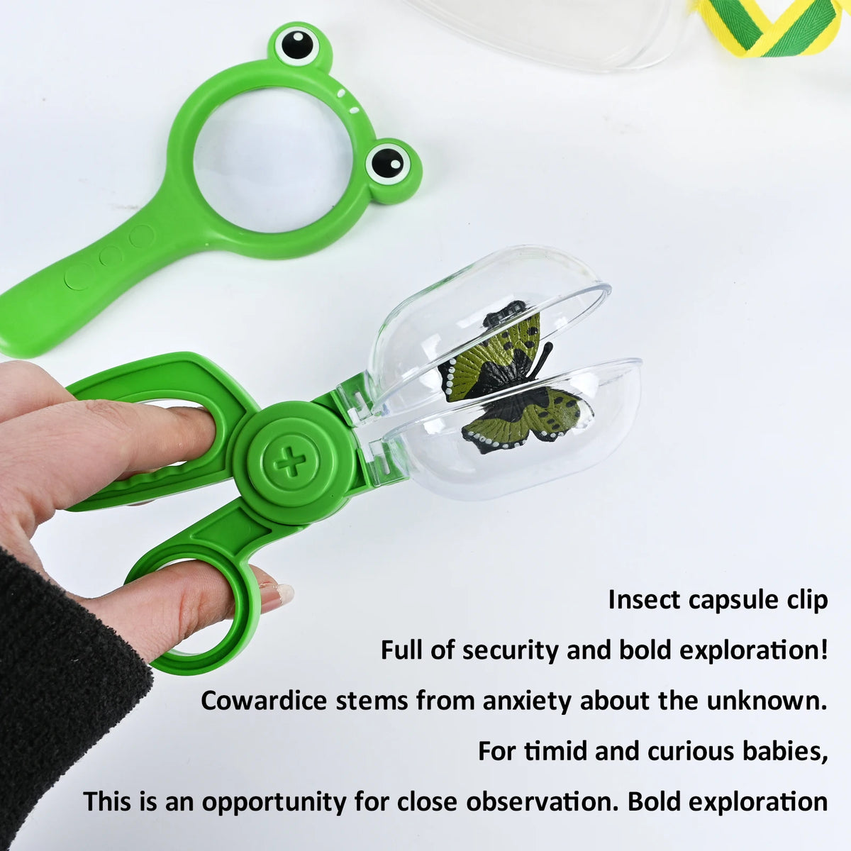 Little Explorer Bug & Butterfly Adventure Kit