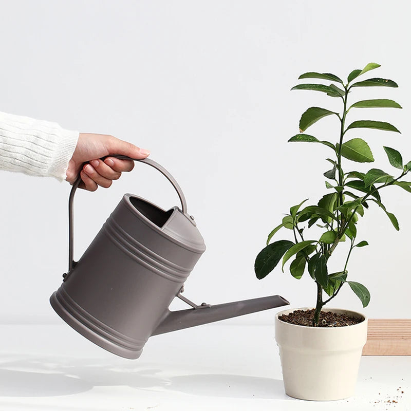 Long-Reach Garden Watering Can – 2L